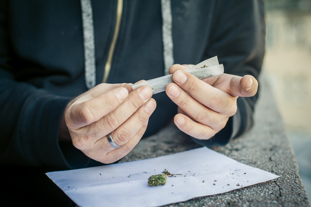 Preparing marihuana drug cigar. Rolling cannabis into paper with filter. Close up