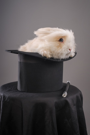 Magic hat with beautiful white rabbit. Close upの写真素材