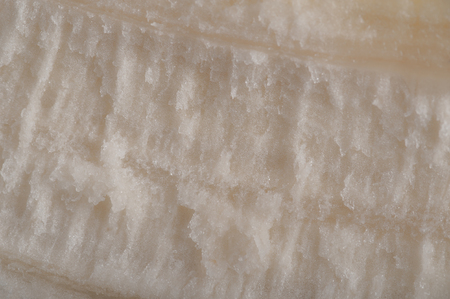 Abstract and art banana slice detail. Macro shooting backgroundの写真素材