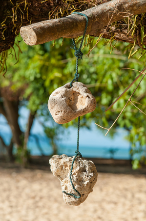 Beautiful vintage sea sponge hanging on the rope. Close upの写真素材