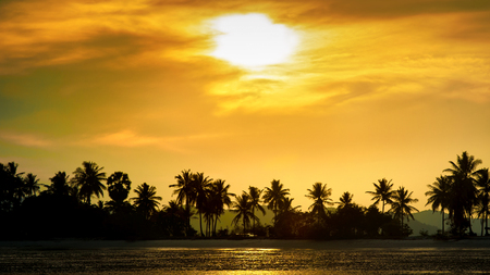 Silhouetted coconut palm trees on the beach at sunset time. Summer vacation in Thailandの写真素材