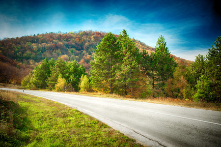 Landscape with beautiful road through the forest with colorful trees. Durmitor, Montenegro