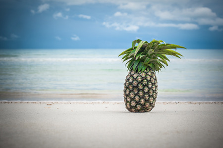 Closeup of exotic and colorful tropical fresh pineapple on the beach. Summer healthy wallpaper. Water mirror reflectionの写真素材