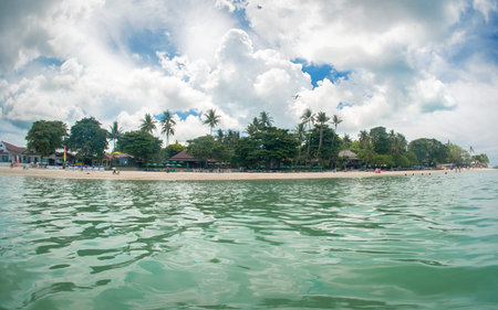 Idyllic tropical beach, palm, white sand and crystal clear water. Amazing beach. Landscape for...