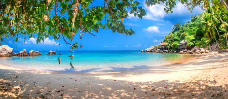 Idyllic tropical beach, palm, white sand and crystal clear water. Amazing beach. Landscape for background or wallpaper. Koh Tao, Thailandの写真素材