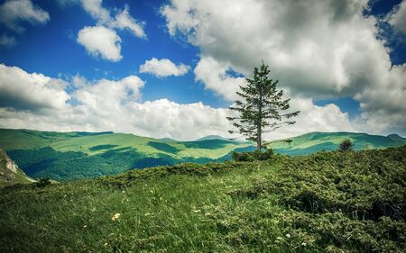 Panoramic view of idyllic mountain scenery with fresh green meadows. Bjelasica, Montenegroの写真素材