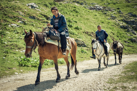Local villagers use horses for easy mountain biking and road trips. Bjelasica, Montenegroのeditorial素材