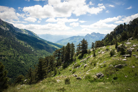 Beautiful view of idyllic mountain scenery with blooming meadows and mountain peaks on a beautiful...