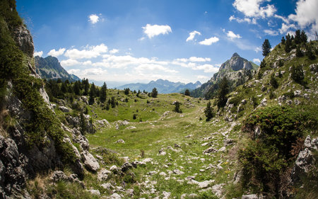 Beautiful view of idyllic mountain scenery with blooming meadows and mountain peaks on a beautiful...