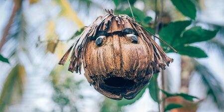 Coconut craft. Works of art made of coconut shells hanging in a cafe. Coconut head. Day editorial shotの写真素材