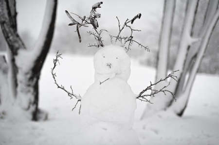 Frozen winter cute snowman on the snowy white field between frosty trees. Creative holidays. Winter snow outdoors view.の写真素材