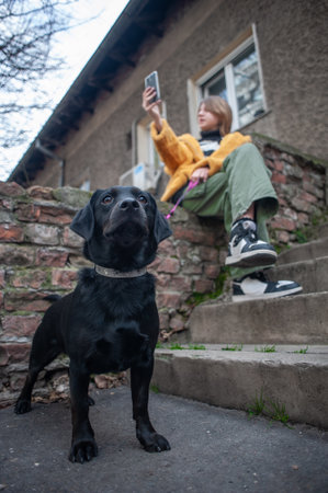 Influencer, teenage girl with a black dog taking a selfie with her smartphone, outdoors in the city streetsの写真素材