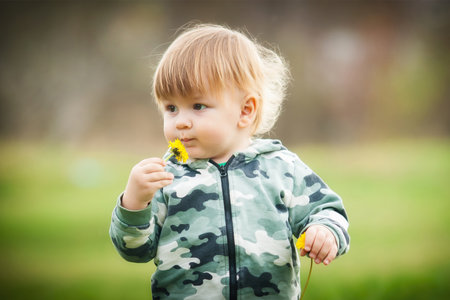 Happy little blond boy sniffing a little yallow flower on a green field. Cute toddler exploring nature. Close-upの写真素材