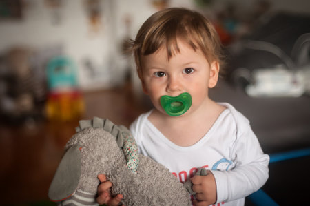 A young child with a pacifier gazes intently while clutching a soft stuffed toy, surrounded by playful and inviting elements in a homely atmosphere.の写真素材