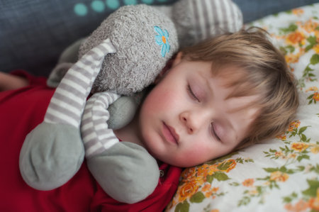 A young boy is soundly sleeping while hugging a soft elephant plush toy. He rests on a floral-patterned pillow during a quiet afternoon, embodying innocence and comfort.の写真素材