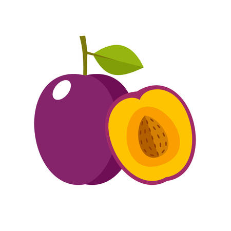 Plum on a white background isolated. Vector illustrationのイラスト素材