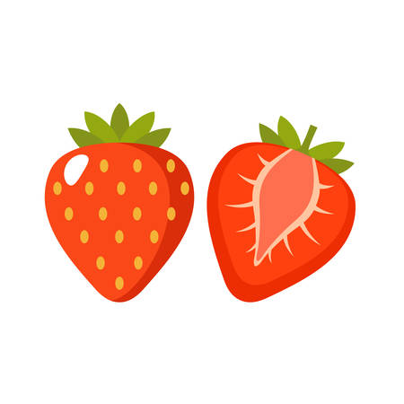 Strawberry on a white background isolated. Vector illustrationのイラスト素材