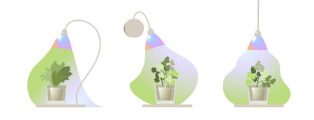 set of led grow lamps and plants illustrations. vector illustration of home growing plants with phytolamps.のイラスト素材