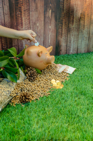 You can see a sack of spilled pellets with a piggy bank, a child's hand with one inserting a coin, and euro bills and coins on the pellet.の写真素材