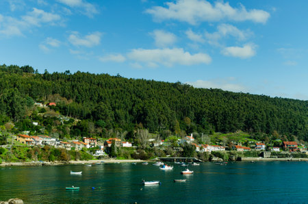 In the photograph you can see a small fishing village with many boats and a forest in the background on the cliffs, with a blue sky with clouds.の写真素材
