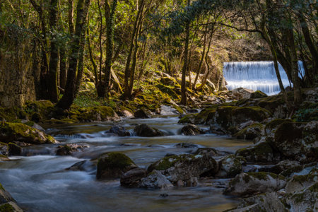 In the photo you can see a silky river running between the rocks and with a curtain waterfall in the background, with the sun's rays entering through the trees.の写真素材