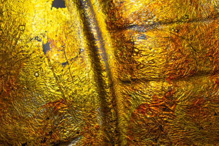 In the photo you can see a bright gold background with leaf-shaped relief and gradient tones.の写真素材