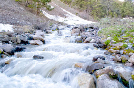 Mountains covered with forest, stones and mountain riverの写真素材