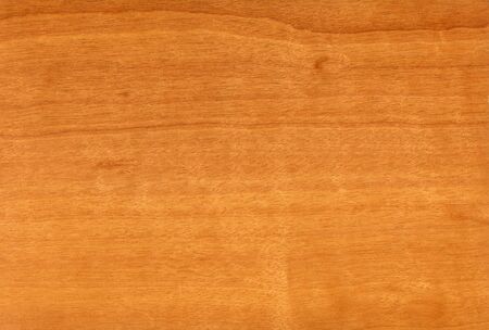 Wood texture with natural wood patternの写真素材