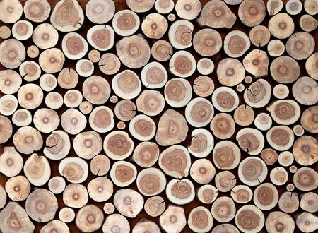 Round teak wood stump backgroundの写真素材