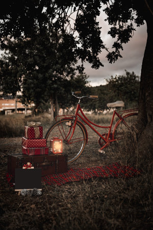 Christmas background with bicycle, gifts and stuffed animals in a natural environment.の写真素材