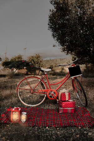 Christmas background with bicycle, gifts and stuffed animals in a natural environment.の写真素材