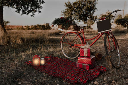 Christmas background with bicycle, gifts and stuffed animals in a natural environment.の写真素材