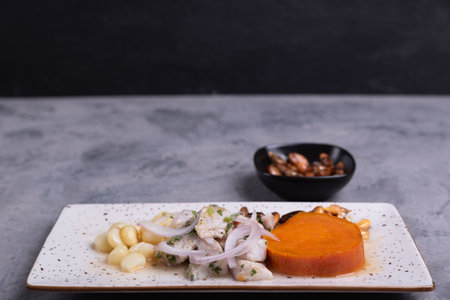 Peruvian ceviche tray served on a gray background.の写真素材