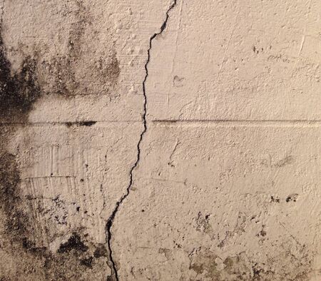 Crack wall peeling with mossの素材