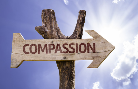 Compassion sign with arrow on sunny backgroundの写真素材
