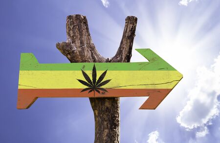 Rasta flag sign with arrow on sunny backgroundの写真素材