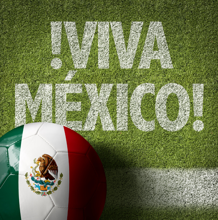 Text on soccer field: Viva Mexicoの写真素材