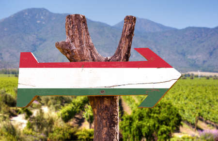 Hungary flag wooden sign board in parkの写真素材