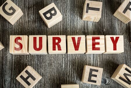 Wooden Blocks with the text: Surveyの写真素材