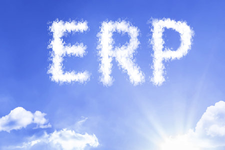 ERP with sky concept