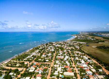 Aerial view of the coastline of Bahia, Brazilの写真素材