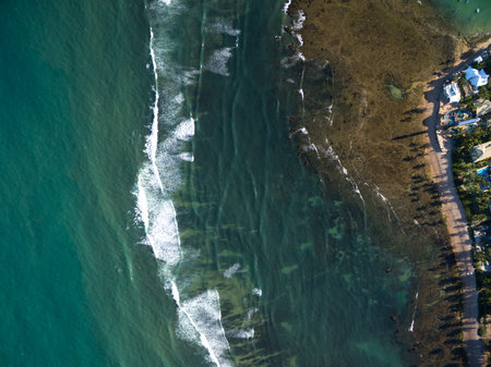 Top view of a coastline in Bahia, Brazil