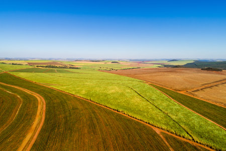 Aerial View of Rural Area in Brazilの写真素材