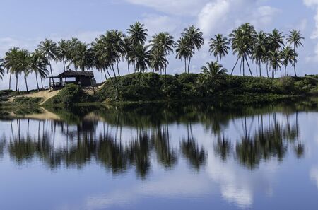 Landscape with reflection in the water on the north coast of Bahia - Costa do Sauipe, Brazilの写真素材
