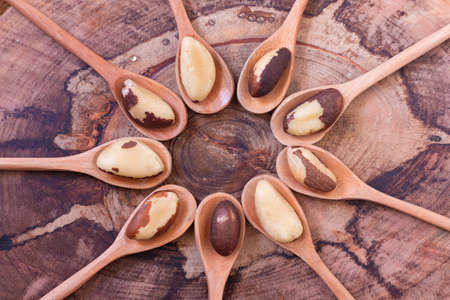 Brazilian nut, known as "Castanha do ParÃ¡" in wooden spoon on rustic wooden background. Top viewの写真素材