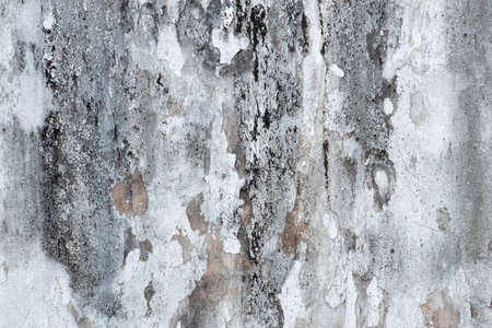 Mold, Fungus, and White Peeling Painting on Old Concrete Wall Background. Suitable for Presentation and Backdrop.の写真素材