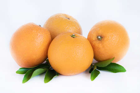 Ripe oranges isolated on the white background with green leaves. Cut Path. Copy spaceの写真素材