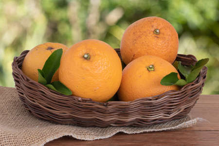 Ripe oranges in the basket on wooden table with blurred green background. Copy spaceの写真素材