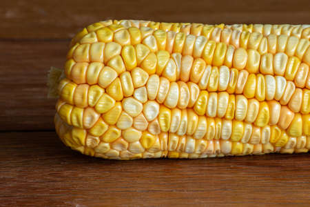 Corn cob on dark wooden rustic background. Detail texture. Macroの写真素材