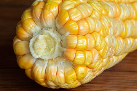 Corn cob on dark wooden rustic background. Detail texture. Macro